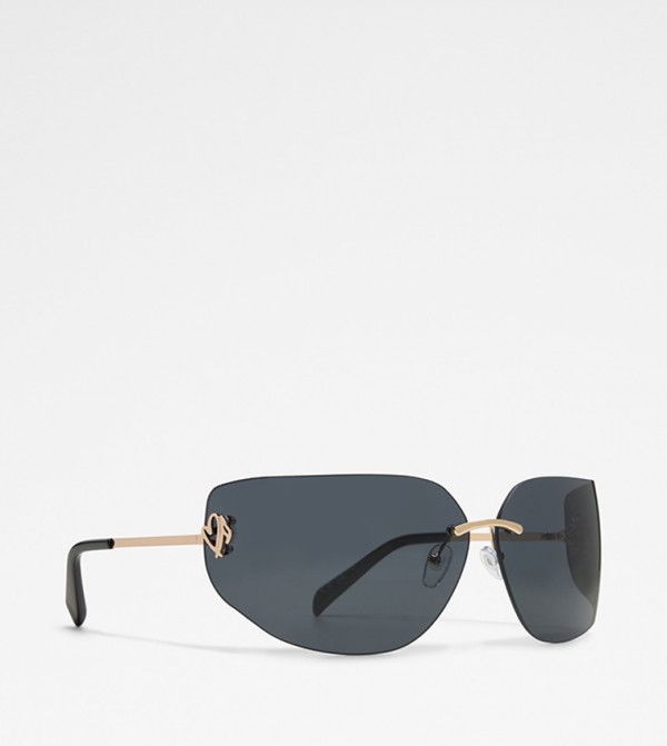 Aldo Accessories Sunglasses - Black undefined