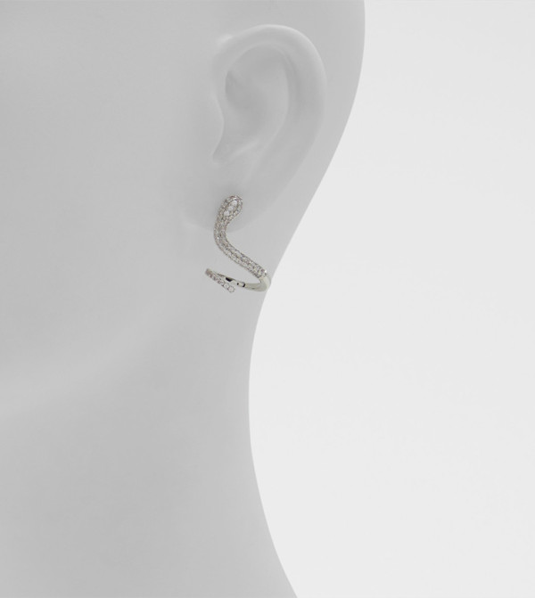 Aldo Accessories  Earrings - Silver Earrings
