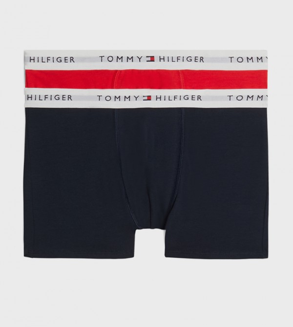 Tommy Hilfiger  Inner Wear & Thermals - Multi Briefs & Boxers