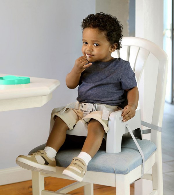 Ingenuity Ingenuity - Multi High Chairs & Booster Seats