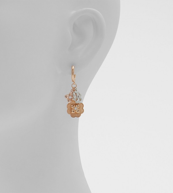 Aldo Accessories  Jewellery - Multi Earrings