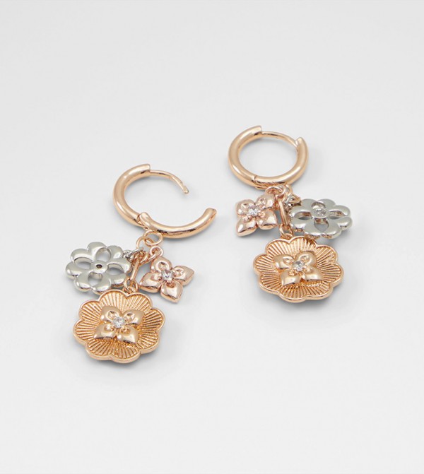 Aldo Accessories  Jewellery - Multi Earrings