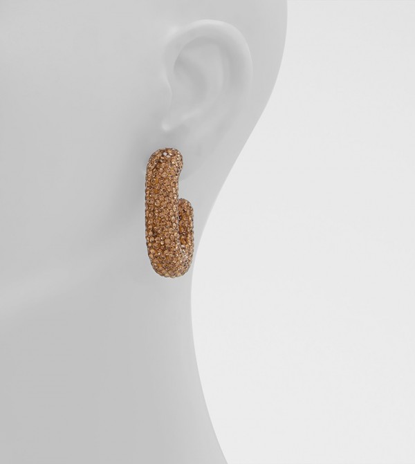 Aldo Accessories  Jewellery - Gold Earrings