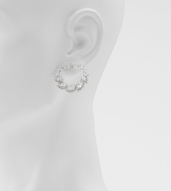 Aldo Accessories  Jewellery - Silver Earrings