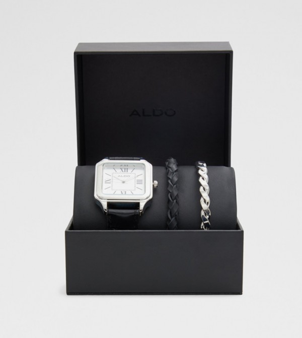 Aldo Accessories  Analog Watches - Multi Analog Watches