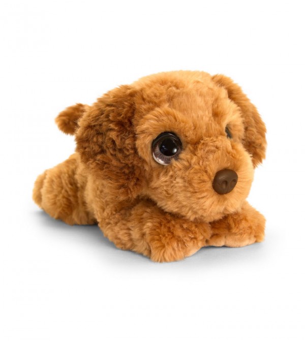 cockapoo cuddly toy