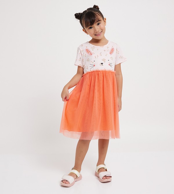 Printed Short Sleeves Tulle Dress
