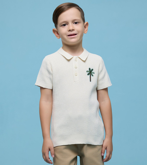 تيشيرت بولو مطرز بكم قصير 
