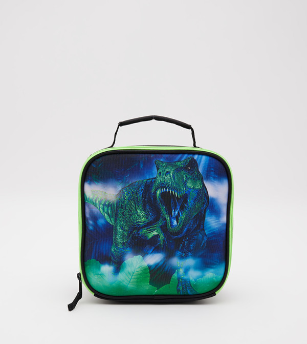 Boys T-Rex Graphic Print Lunch Bag