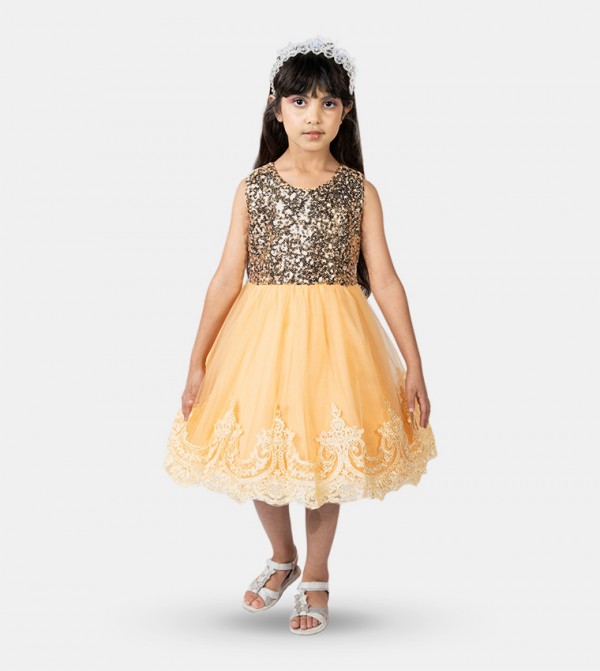 Sequins Embroidered Fit and Flare Dress
