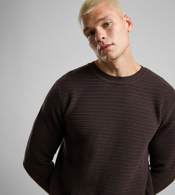 Textured Sweater with Crew Neck and Long Sleeves