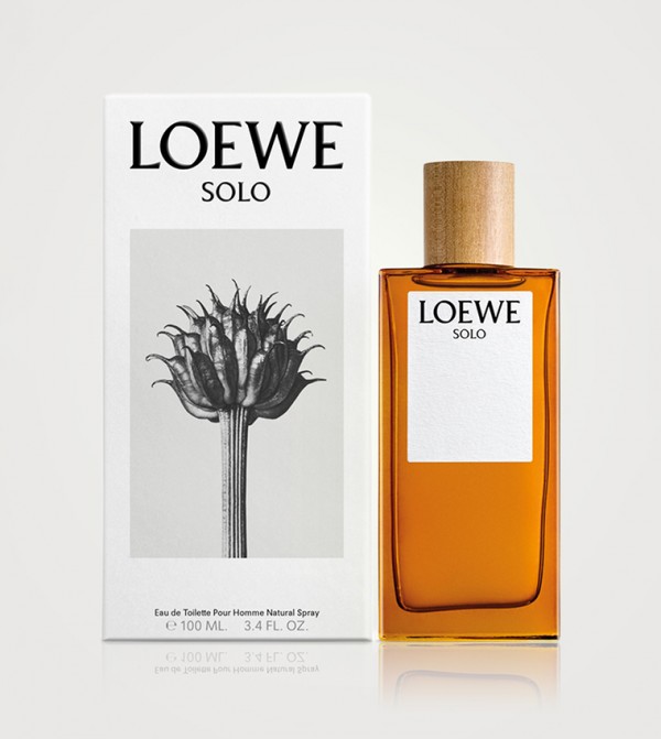 Loewe 2025 cedro 100ml