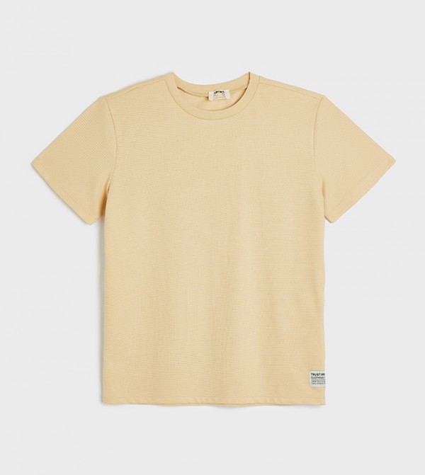 Solid Crew Neck Oversized T-Shirt
