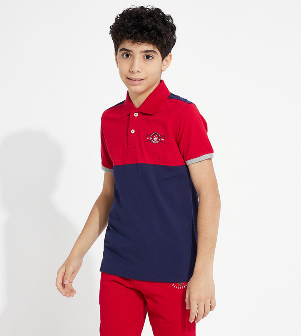 تيشيرت بولو بأكمام قصيرة وألوان متباينة 