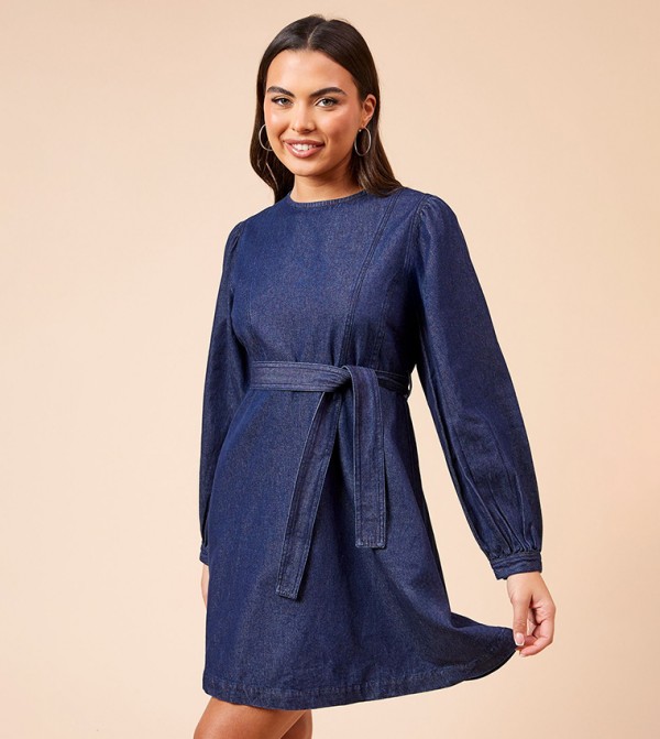 Chambray Seamed Denim Mini Dress