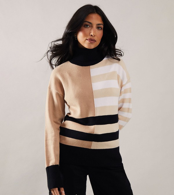 Striped Color block Roll Neck Jumper