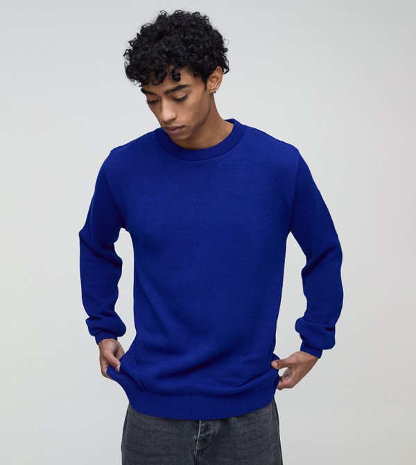 Regular Fit Ribbed Panel Knitted Jumper