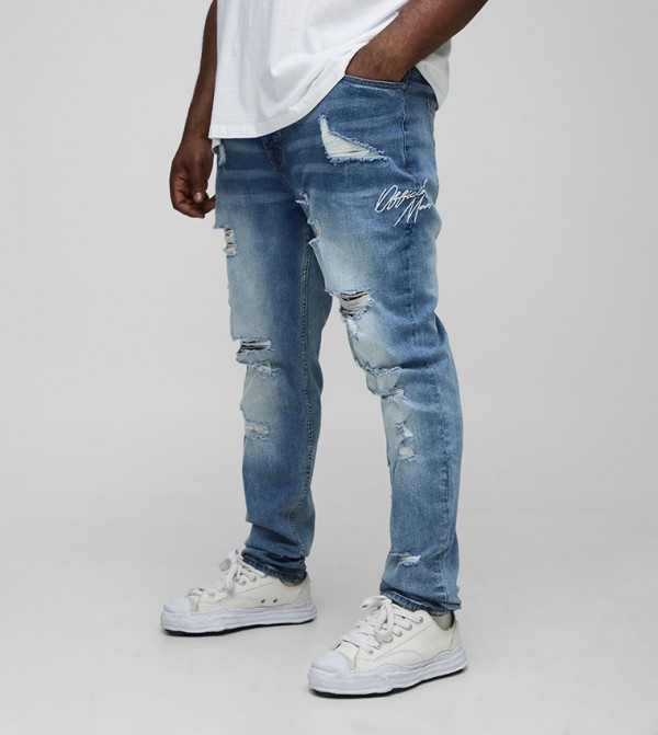Plus & Tall Stacked Ripped Embroidered Skinny Fit Jeans