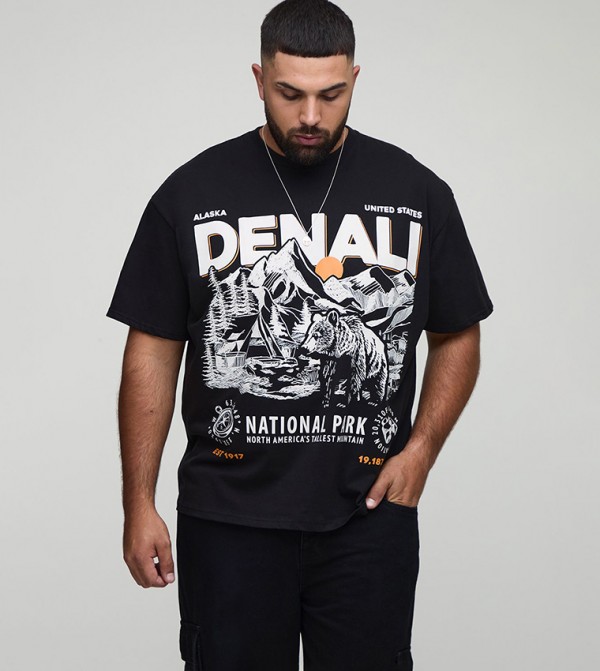 Denali Landscape Print Oversized T-Shirt