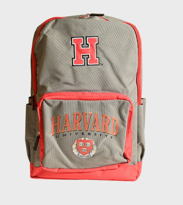 Harvard University Themed 18" Backpack