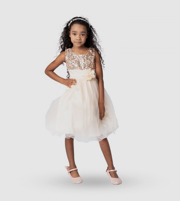 Sequined Fit and Flare Party Dress