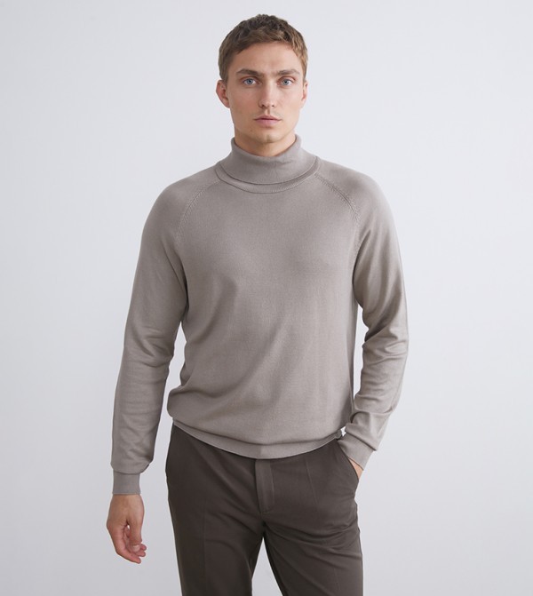 Solid Turtleneck Sweater