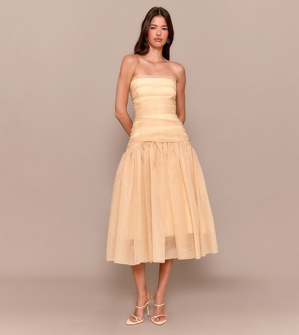 Organza Ruched Bodice Midi Dress