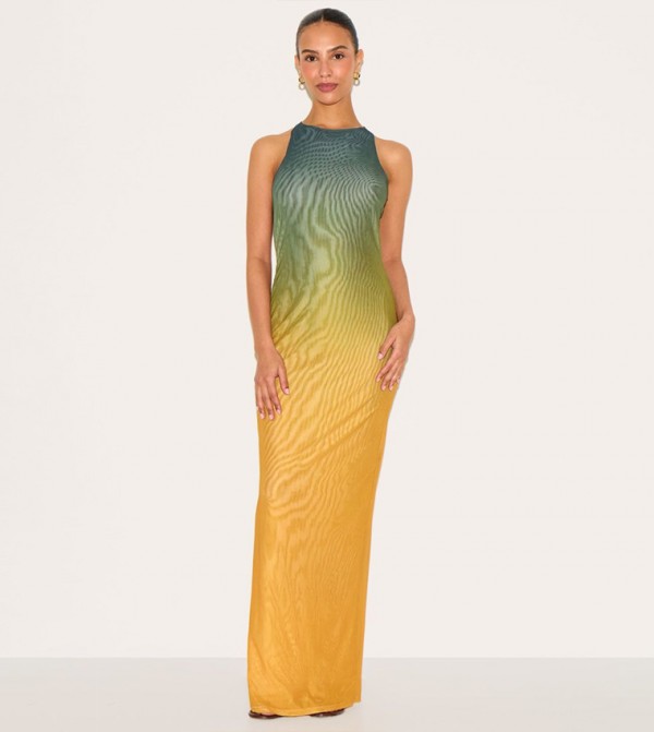 Petite Ombre Lined Mesh Trim Detail Maxi Dress