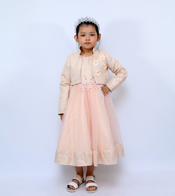 Embroidered Puff Sleeves Fit and Flare Dress