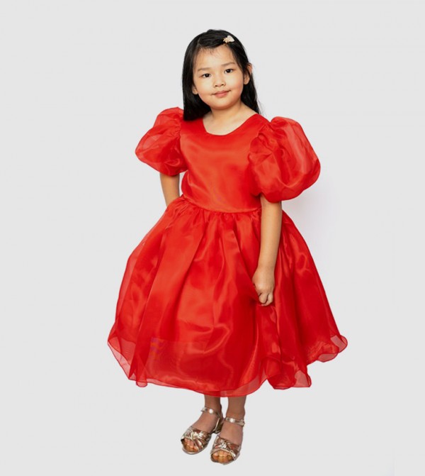 Balloon Sleeves Fit and Flare Dress