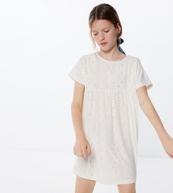 Embroidered Short Sleeves Mini Dress