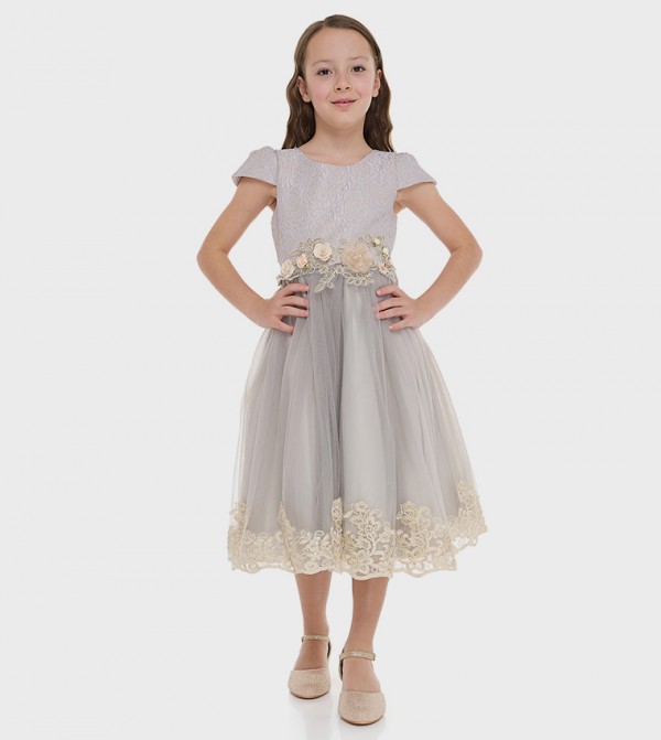 Lace Detail Cap Sleeves Tulle Dress
