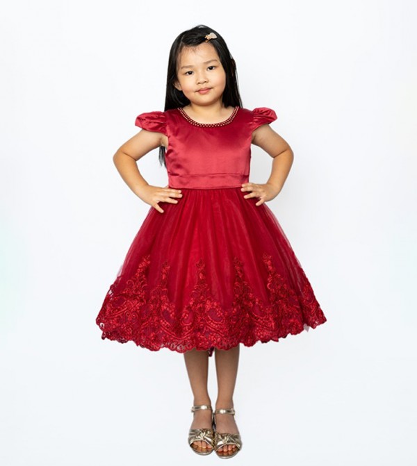 Embroidered Puff Sleeves Princess Dress