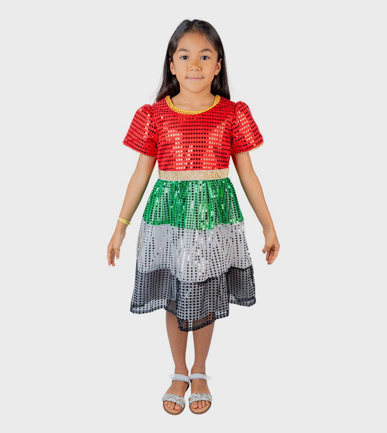 UAE National Flag Themed Sequined Dress