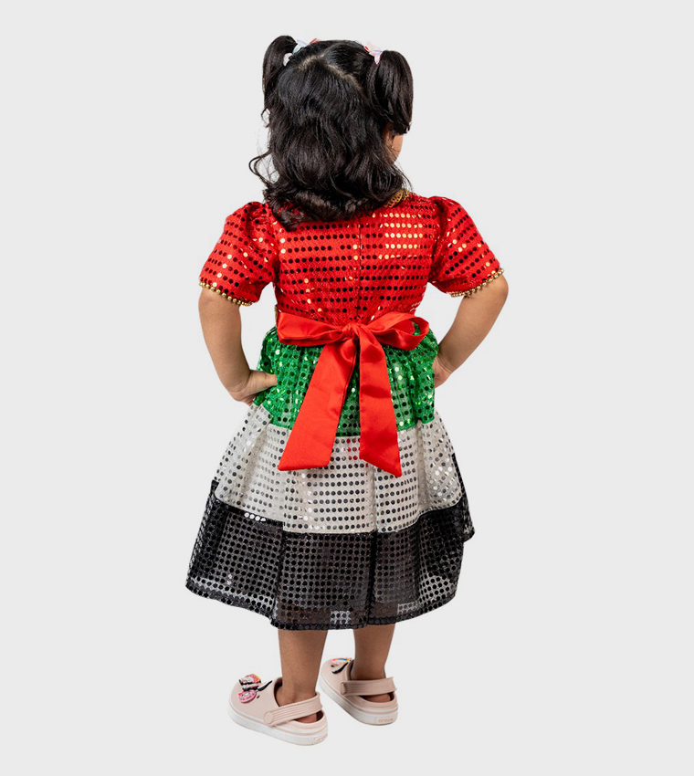 UAE National Flag Themed Sequined Dress