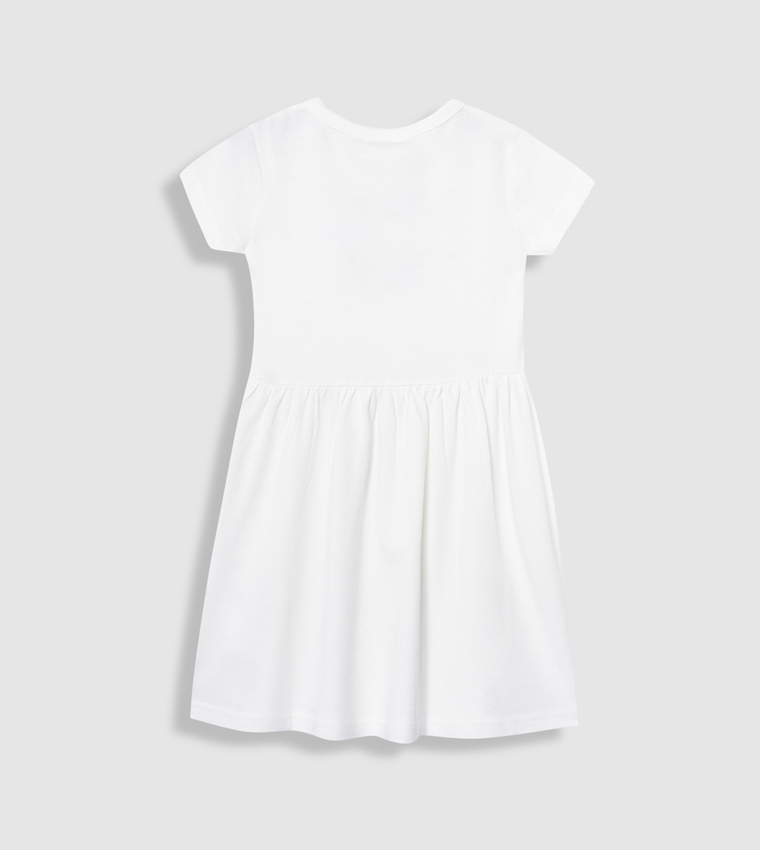 Embroidery Detail Flared Dress