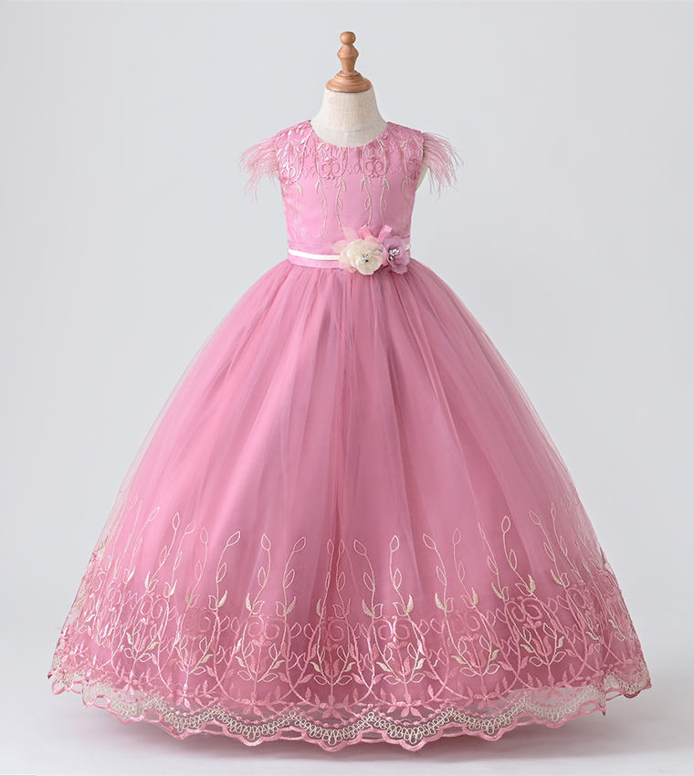 Embroidered Floral Applique Party Dress