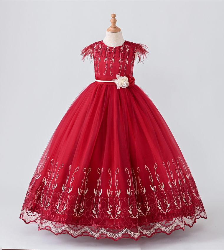 Embroidered Floral Applique Party Dress