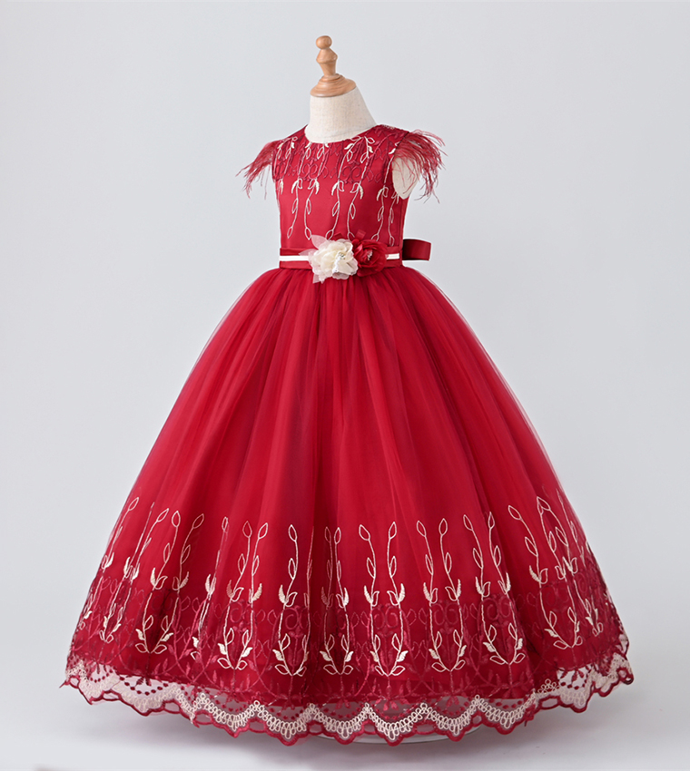 Embroidered Floral Applique Party Dress