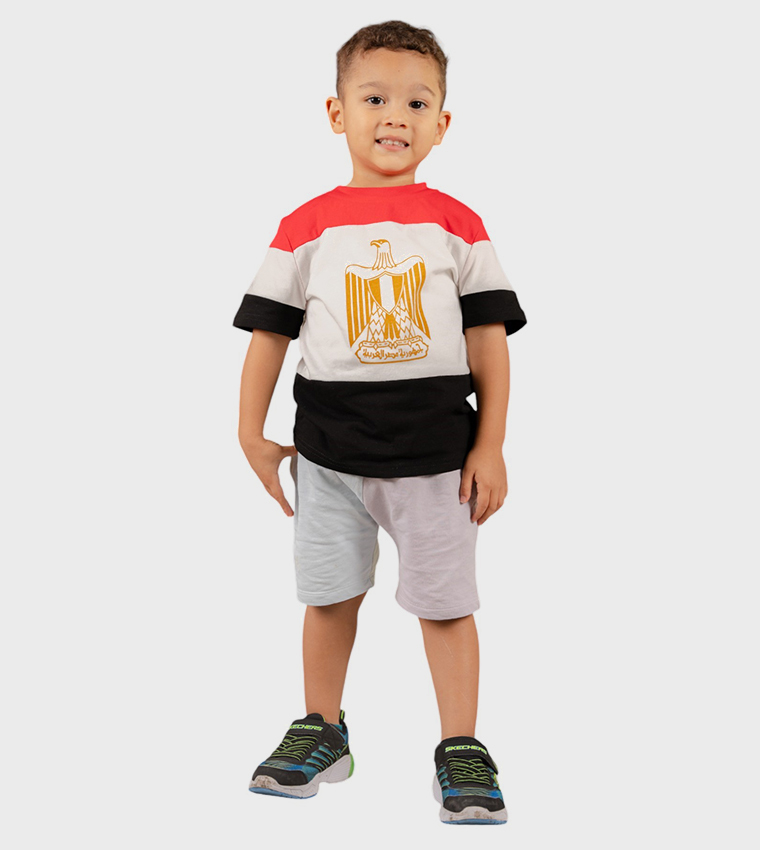 تيشيرت بأكمام قصيرة وطبعة علم مصر