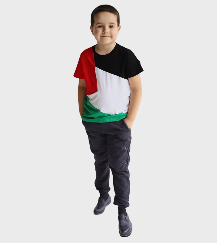 Palestine Flag Printed Short Sleeves T-Shirt