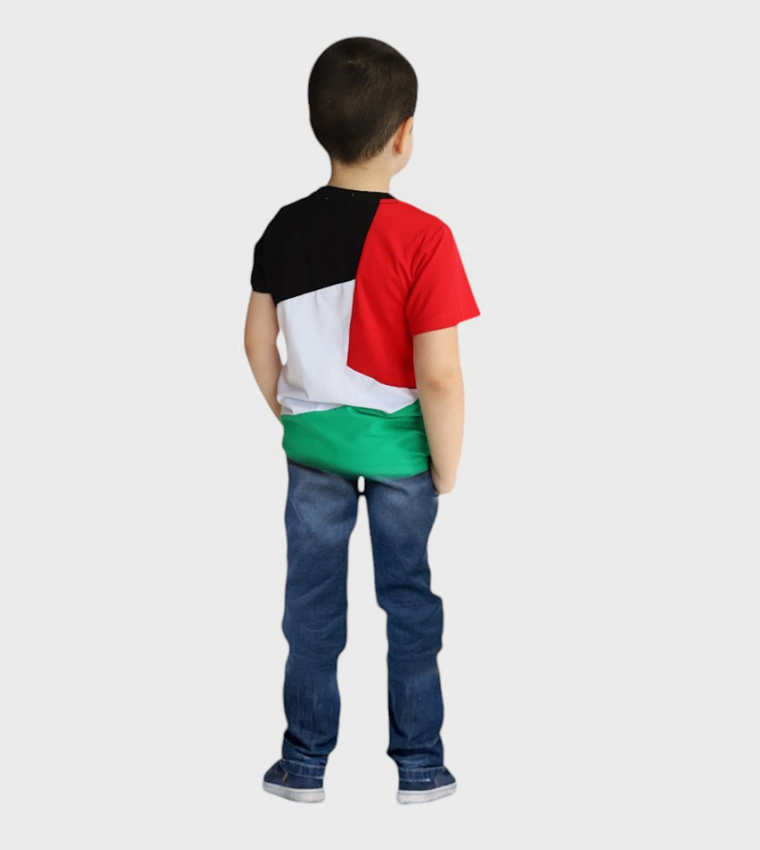Palestine Flag Printed Short Sleeves T-Shirt