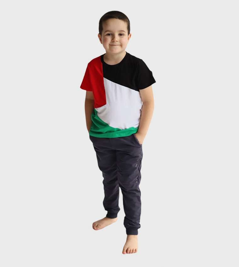 Palestine Flag Printed Short Sleeves T-Shirt
