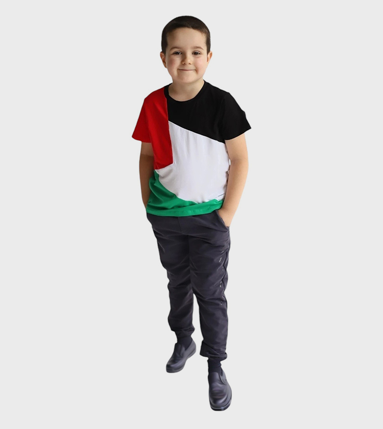 Palestine Flag Printed Short Sleeves T-Shirt