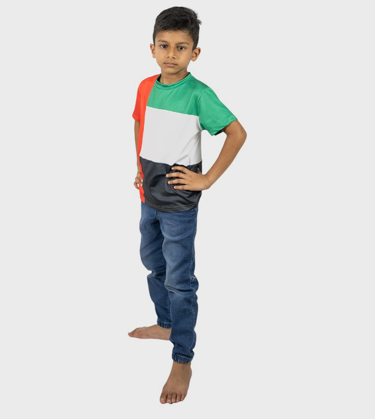UAE National Flag Printed Short Sleeves T-Shirt