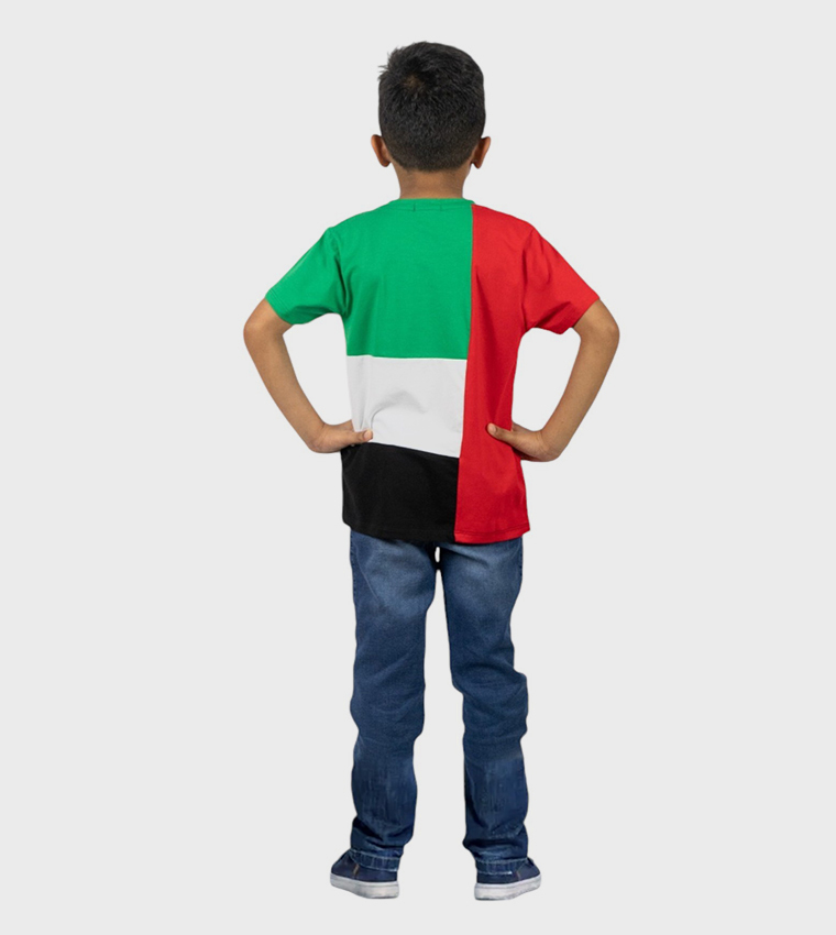 UAE Flag Printed Short Sleeves T-Shirt