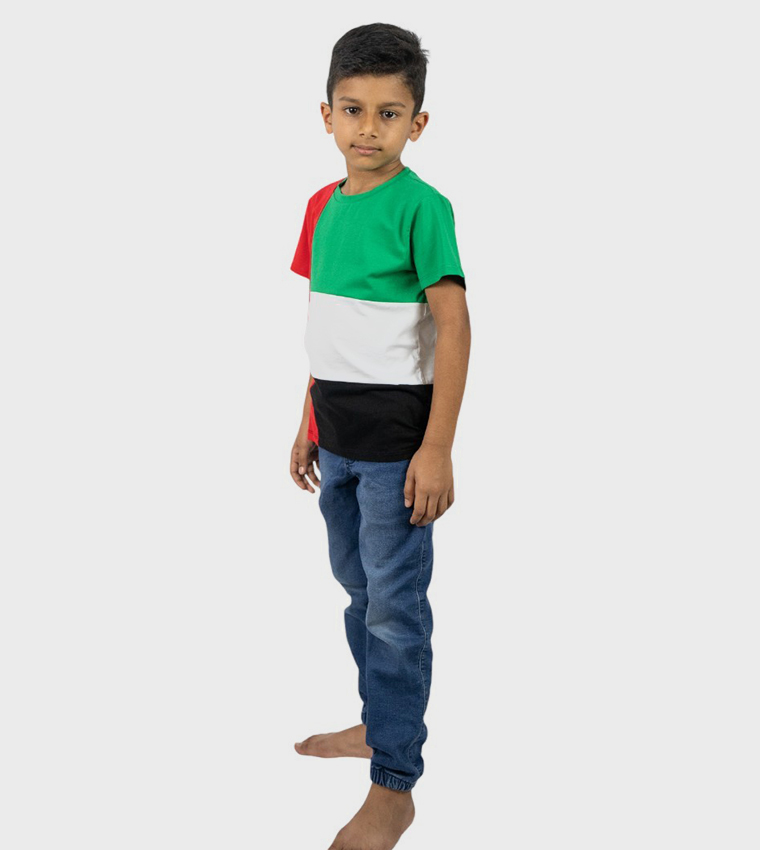 UAE Flag Printed Short Sleeves T-Shirt