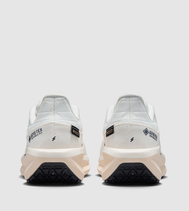 AIR WINFLO 11 GTX Running Shoes