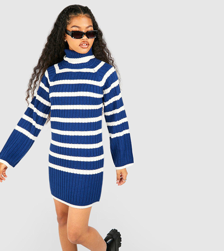 Petite roll neck outlet jumper dress