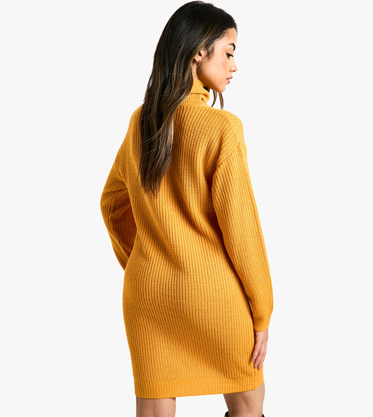Ribbed Roll Neck Mini Sweater Dress